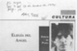 Elegía del ángel  [artículo] Bernardo Chandía Fica.