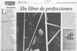 Un libro de perfecciones