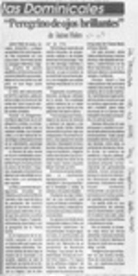 "Peregrino de ojos brillantes"