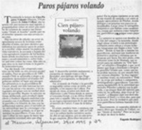 Puros pájaros volando