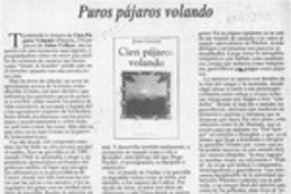 Puros pájaros volando