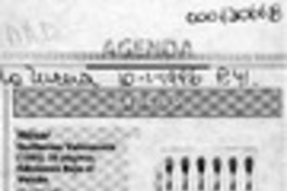 Húsar  [artículo] Lina Meruane.