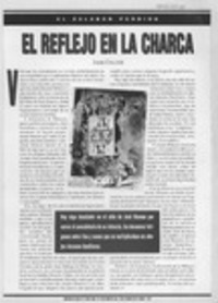El reflejo en la charca  [artículo] Jaime Collyer.