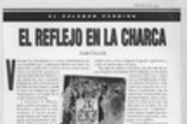 El reflejo en la charca  [artículo] Jaime Collyer.