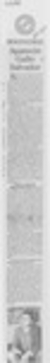 Apareció gallo salvador