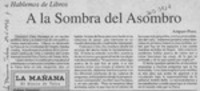 A la sombra del asombro  [artículo] Amparo Pozo.