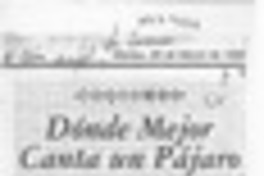 Dónde mejor canta un pájaro  [artículo] Claudia Reyes G.