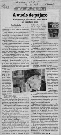 A vuelo de pájaro  [artículo] Alicia Sánchez.