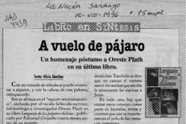 A vuelo de pájaro  [artículo] Alicia Sánchez.