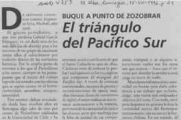 El Triángulo del pacífico sur  [artículo].