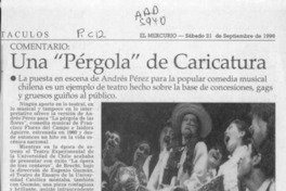 Una "pérgola" de caricatura  [artículo] Juan Antonio Muñoz H.