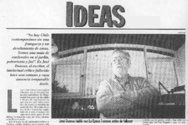 La mata de cardenales en el jardín