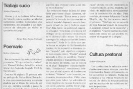 Poemario  [artículo] Eliana Godoy Godoy.