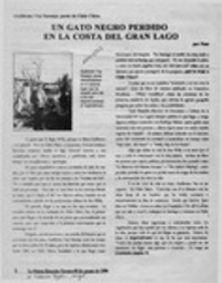 Un gato negro perdido en la costa del gran lago  [artículo] Poso.