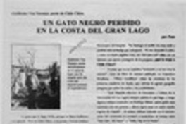 Un gato negro perdido en la costa del gran lago  [artículo] Poso.