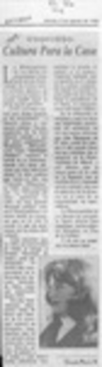 Cultura para la casa  [artículo] Claudia Reyes G.