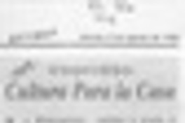 Cultura para la casa  [artículo] Claudia Reyes G.