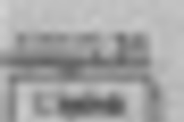 L. Sepúlveda se reencuentra con su país  [artículo].