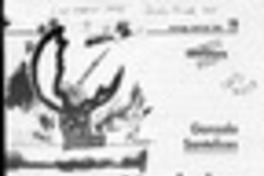 Vendedor de fotocopiadoras  [artículo] Virginia Vidal.