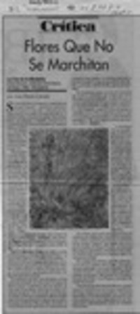 Flores que no se marchitan  [artículo] Ana María Larraín.