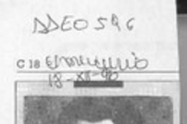 Neruda interactivo  [artículo].