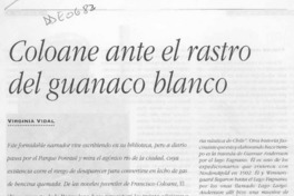 Coloane ante el rastro del guanaco blanco