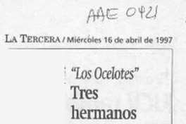 "Los Ocelotes" tres hermanos en busca de identidad  [artículo].