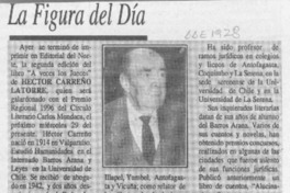 La Figura del día  [artículo].
