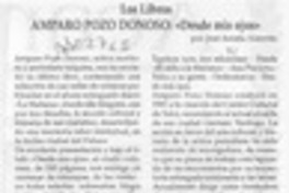 Amparo Pozo Donoso, "Desde mis ojos"  [artículo] José Arraño Acevedo.