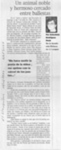 Un animal noble y hermoso cercado entre ballestas