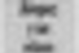 Bórquez y sus relatos