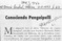 Conociendo Panguipulli  [artículo] Ruth Ojeda.