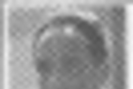 El Poeta de Chillán Sergio Hernández publicará sus obras  [artículo].