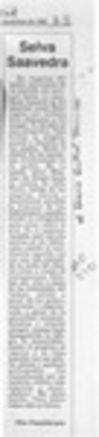 Selva Saavedra  [artículo] Flor Passalacqua.