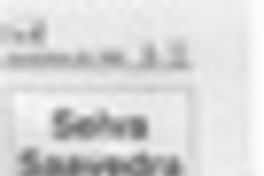 Selva Saavedra  [artículo] Flor Passalacqua.