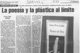 La poesía y la plástica al límite