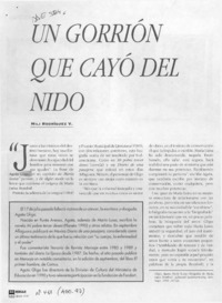Un gorrión que cayó del nido  [artículo] Mili Rodríguez V.