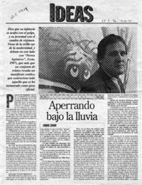 Aperrando bajo la lluvia  [artículo] Faride Zerán.