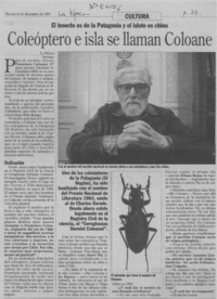 Coleóptero e isla se llaman Coloane  [artículo].