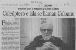 Coleóptero e isla se llaman Coloane  [artículo].