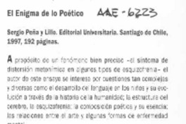 El enigma de lo poético  [artículo] Elena Vial.