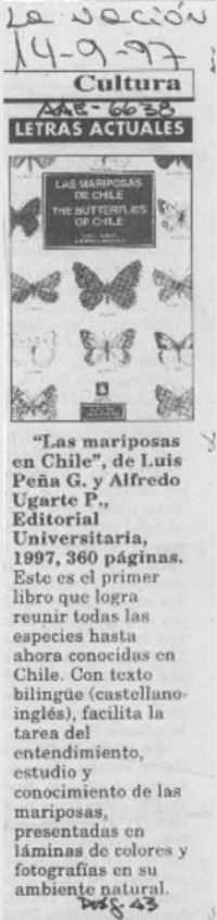 Cortázar y su amor secreto  [artículo].