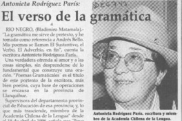 El Verso de la gramática  [artículo].