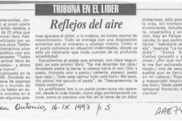 Reflejos del aire  [artículo] Jaime Miguel Gómez Rogers.