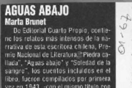 Aguas abajo  [artículo].