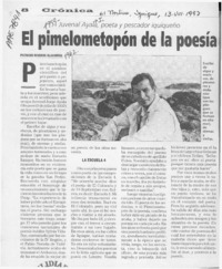 El pimelometopón de la poesía