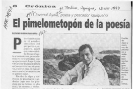El pimelometopón de la poesía