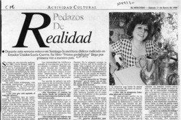 Pedazos de realidad  [artículo] Carolina Andonie Dracos.