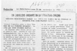 Un Caballero andante en la literatura chilena  [artículo].