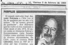 Perfiles  [artículo].